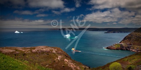 Cape Spear, Fort Amherst, icebergs